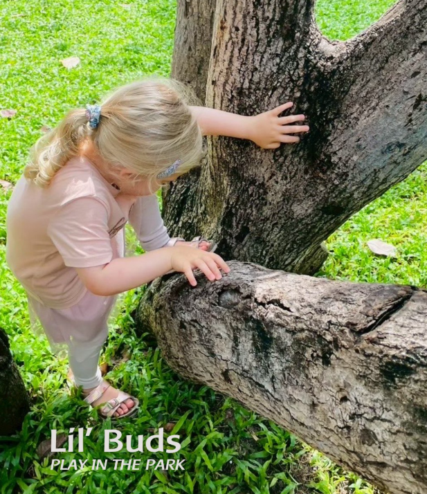 Lil’ buds – Play in the park